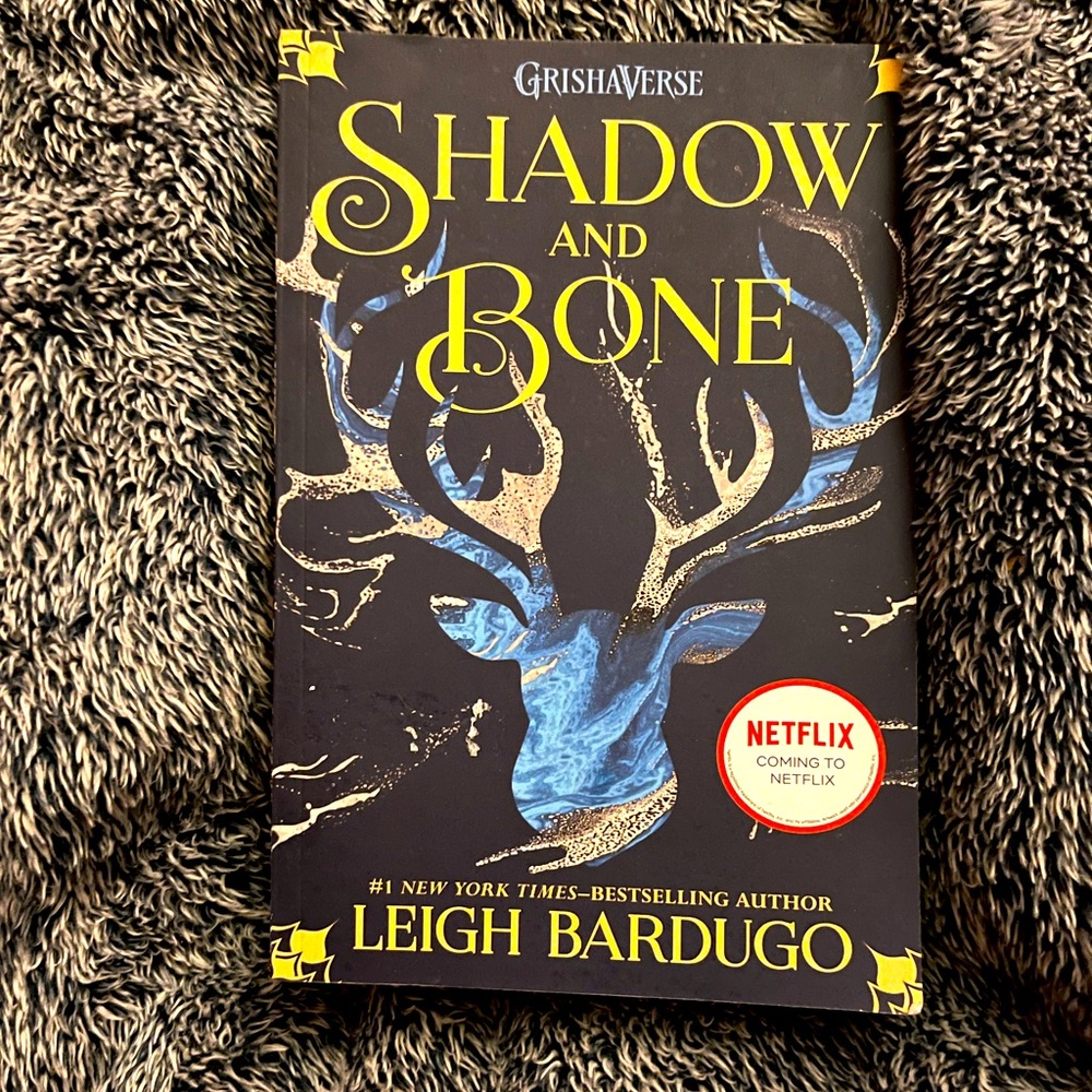Shadow and bone  book
